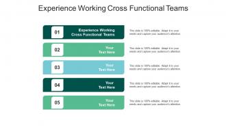 Experience working cross functional teams ppt powerpoint presentation diagrams cpb