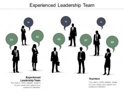Experienced leadership team ppt powerpoint presentation infographic template example cpb