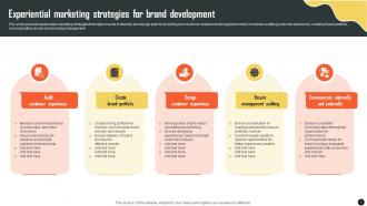 Experiential Marketing Strategies For Brand Development