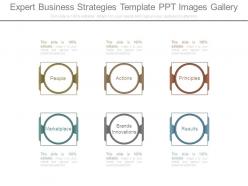 Expert business strategies template ppt images gallery
