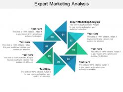Expert marketing analysis ppt powerpoint presentation file show cpb