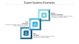 Expert systems examples ppt powerpoint presentation visual aids ideas cpb