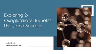 Exploring 2 Oxoglutarate Benefits Uses And Sources PPT Example ST AI