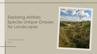 Exploring Aristida Species Unique Grasses For Landscapes PPT Sample ST AI