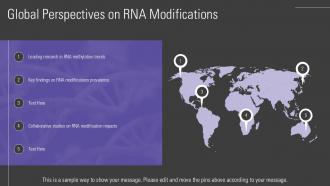 Exploring Epitranscriptomics Unraveling RNA Modifications PPT Sample ST AI Impressive Multipurpose