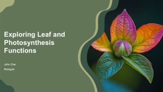 Exploring Leaf And Photosynthesis Functions PPT PowerPoint AT