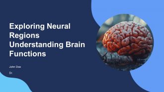 Exploring Neural Regions Understanding Brain Functions PPT Presentation ST AI