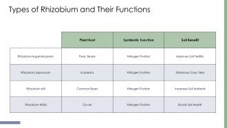 Exploring Rhizobium Culture For Enhanced Soil Health PPT Presentation ST AI Slides Interactive