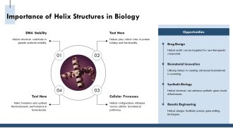 Exploring The Complexities Of Biomolecule Helix Structures PPT Slides AT Designed Customizable
