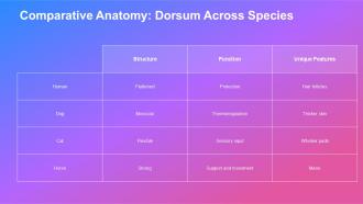 Exploring The Dorsum Anatomy Function And Insights PPT Slides ST AI Slides Pre-designed