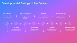 Exploring The Dorsum Anatomy Function And Insights PPT Slides ST AI Idea Pre-designed