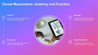 Exploring The Dorsum Anatomy Function And Insights PPT Slides ST AI Ideas Pre-designed