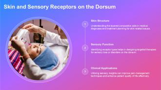 Exploring The Dorsum Anatomy Function And Insights PPT Slides ST AI Images Pre-designed