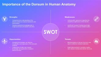 Exploring The Dorsum Anatomy Function And Insights PPT Slides ST AI Informative Pre-designed