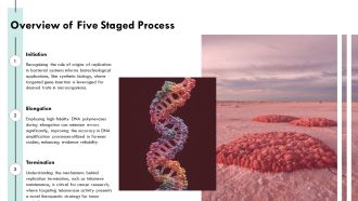 Exploring The Five Staged DNA Replication Process PPT Template AT Impressive Unique
