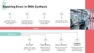 Exploring The Five Staged DNA Replication Process PPT Template AT Adaptable Unique