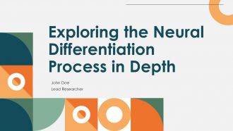 Exploring The Neural Differentiation Process In Depth PPT Presentation ST AI