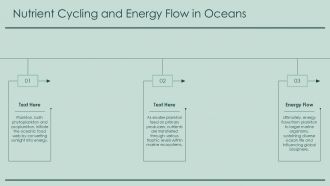 Exploring The Paradox Of Plankton Natures Tiny Giants PPT Presentation ST AI Content Ready Aesthatic