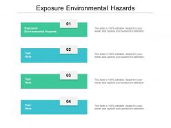 Exposure environmental hazards ppt powerpoint presentation styles example cpb