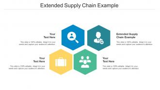 Extended Supply Chain Example Ppt Powerpoint Presentation Pictures Graphics Cpb