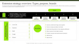 Extension Strategy Overview Types Purpose Brands Introduction To Extension Strategy