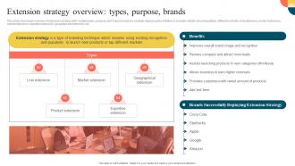 Extension Strategy Overview Types Purpose Brands Stretching Brand To Launch New Products