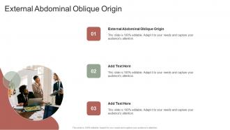 External Abdominal Oblique Origin In Powerpoint And Google Slides Cpb