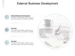 External business development ppt powerpoint presentation outline cpb