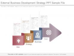 External business development strategy ppt sample file