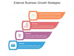 External business growth strategies ppt powerpoint presentation pictures slides cpb