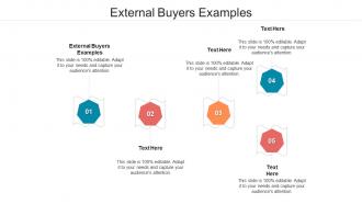 External buyers examples ppt powerpoint presentation summary example topics cpb