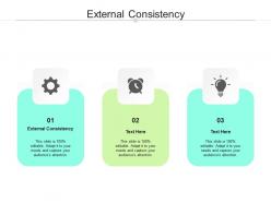 External consistency ppt powerpoint presentation gallery layouts cpb