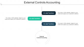 External Controls Accounting Ppt Powerpoint Presentation Layouts Show Cpb