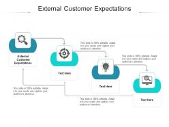 External customer expectations ppt powerpoint presentation summary example cpb