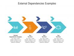External dependencies examples ppt powerpoint presentation portfolio summary cpb