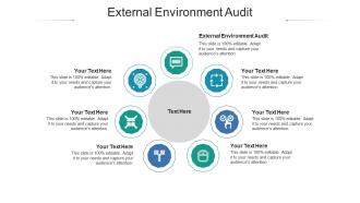 External environment audit ppt powerpoint presentation icon infographics cpb