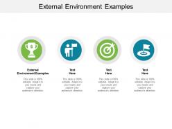 External environment examples ppt powerpoint presentation file clipart cpb