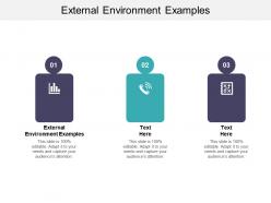 External environment examples ppt powerpoint presentation infographic template guidelines cpb