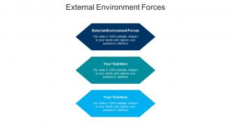 External environment forces ppt powerpoint presentation professional graphics cpb