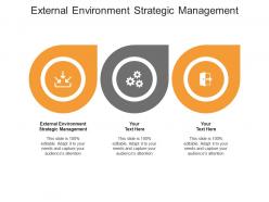 External environment strategic management ppt powerpoint presentation styles picture cpb