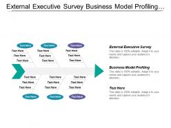 External executive survey business model profiling expert survey