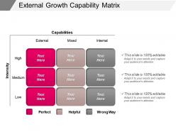 External growth capability matrix powerpoint guide