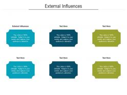 External influences ppt powerpoint presentation layouts example cpb