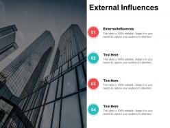 External influences ppt powerpoint presentation pictures example cpb