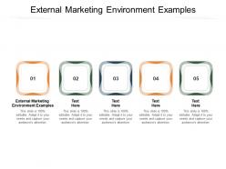External marketing environment examples ppt powerpoint presentation slide cpb