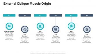 External Oblique Muscle Origin In Powerpoint And Google Slides Cpb