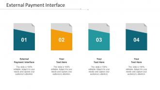 External Payment Interface Ppt Powerpoint Presentation Gallery Infographic Cpb