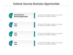 External sources business opportunities ppt powerpoint presentation icon diagrams cpb
