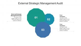External strategic management audit ppt powerpoint presentation summary graphics cpb