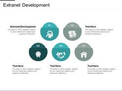 Extranet development ppt powerpoint presentation infographics themes cpb